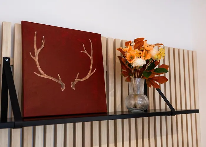 Uusi Paritalohuoneisto * 로바니에미