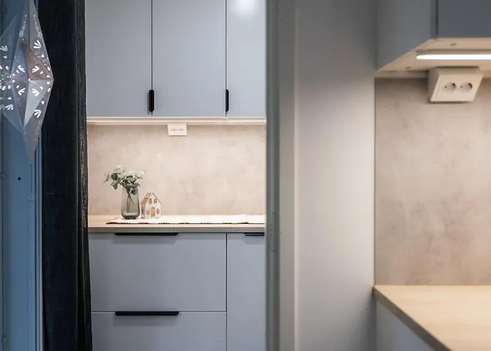 Uusi Paritalohuoneisto 아파트